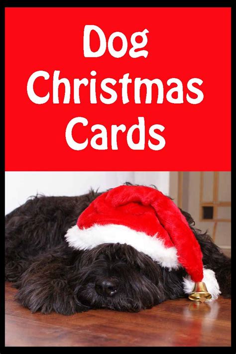 Dog Christmas Cards - The Cool Card Shop