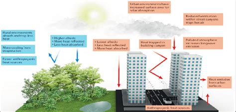 Factors of urban heat island and the role of vegetation (Source: Wong ...