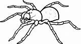 Spider coloring Pages To Download And Print For Free sketch template