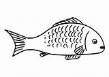 Free Printable Fish Coloring Pages For Kids sketch template