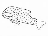 Printable Whale Shark Coloring Page sketch template