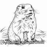 Prairie Dog Coloring Pages  Free & Printable sketch template