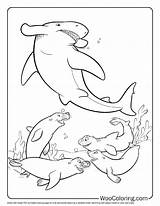 100  Hammerhead Shark coloring Pages Free PDF To Print Woo Coloring sketch template