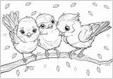 Three Little birds On A Thin Branch With Falling Leaves  Bird sketch template