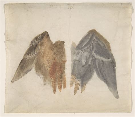 In the manner of Albrecht Dürer | Bittern's Wings: study showing both ...