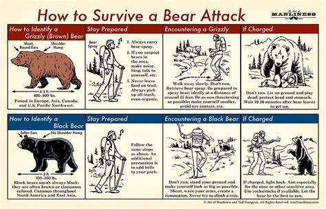 The Guide | How to Survive a Bear Attack – Oak + Oar