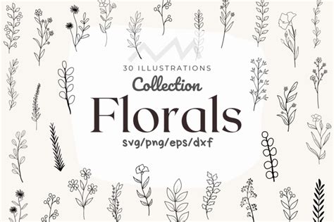 Floral SVG Bundle - Buy t-shirt designs