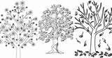 25 Free Tree Coloring Pages For Kids And Adults sketch template