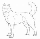 Husky Coloring Pages  Best For Kids sketch template