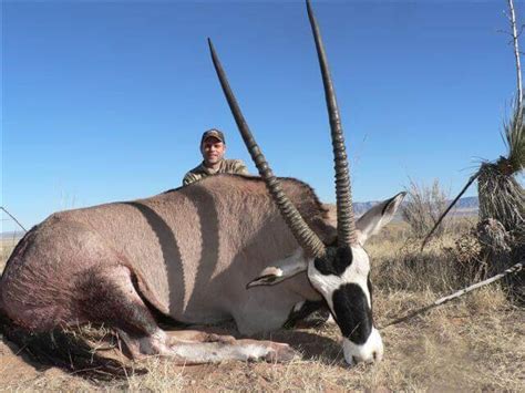 New Mexico Free Range Oryx Hunting on White Sands Missile Range