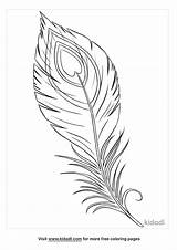 Peacock Feather Coloring Page sketch template