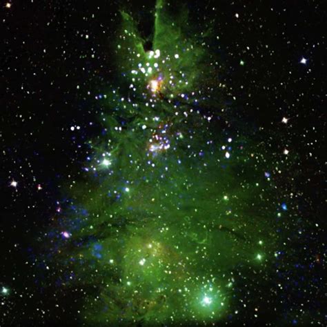 NASA Finds ‘Christmas Tree Cluster’ Twinkling in Space — See the ...