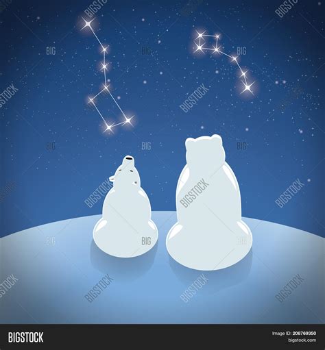 Little Bear Constellation