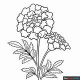 Free House Plants Coloring Pages For Kids  36 Printable Sheets sketch template