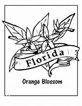 Florida Coloring Pages To Print  Free Printable sketch template