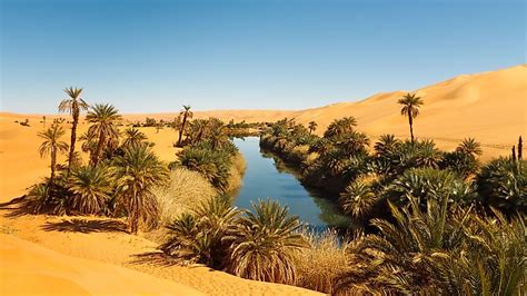 Sahara Desert - WorldAtlas