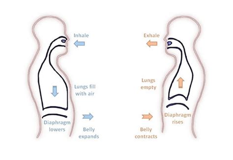 Benefits Of Deep Breathing Exercises - Vactrone