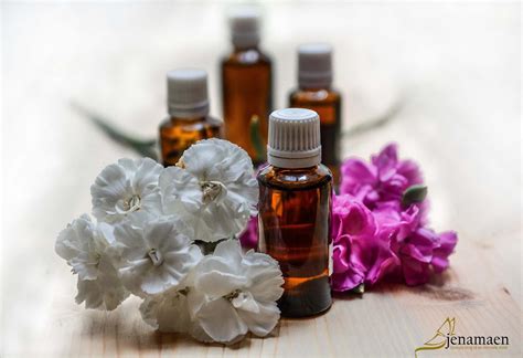 5 Major Reasons to Fall in Love with Essential Oils - jenamaen.com