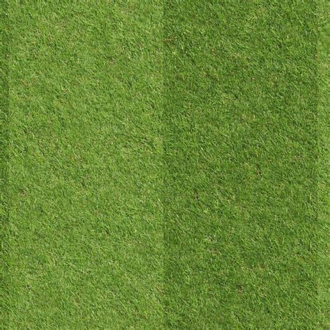 Green Grass Texture From A Football Field Stock Image Colourbox | ubicaciondepersonas.cdmx.gob.mx