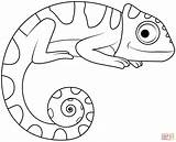 Chameleon coloring Page  Free Printable Coloring Pages sketch template