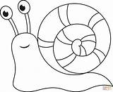 Cute Snail coloring Page  Free Printable Coloring Pages sketch template