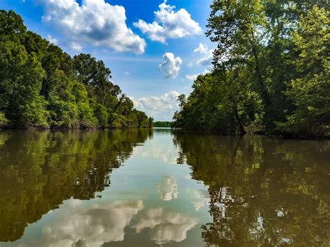 Wheeler National Wildlife Refuge - Huntsville Adventurer