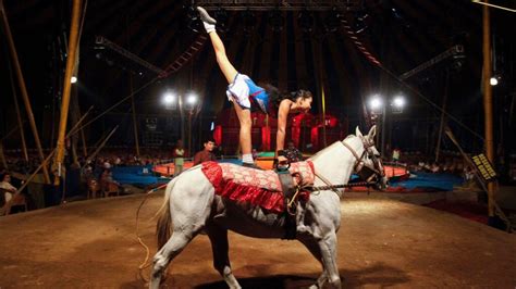 How Activist Pressure Got This Major Indian Company To Stop Promoting Circus Animals