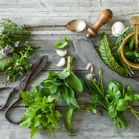 6 herbs to help you use less salt – Yum Eating