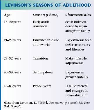 Levinson's Life Structure Stages