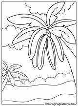 30  Bananas Coloring Pages Free Printable PDF & Online sketch template