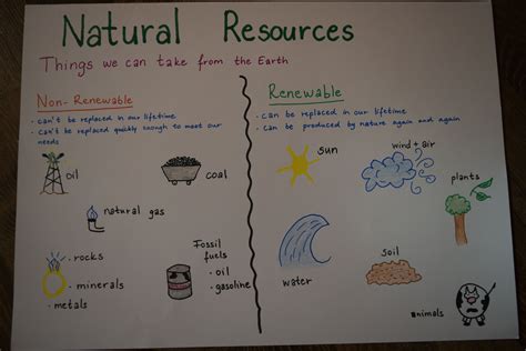 Non Examples Of Natural Resources