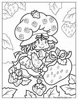 Original Strawberry Shortcake Coloring Page sketch template