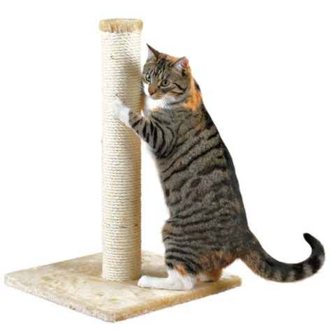 TRIXIE Beige Parla Cat Scratching Post-43331 - The Home Depot