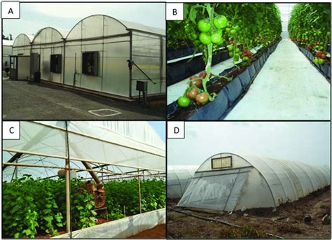 Greenhouse construction types and climate equipment used; high-tech ...