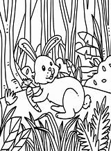 30  Rabbit Coloring Pages Free Printable PDF & Online sketch template