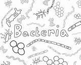 Biology Coloring Page sketch template