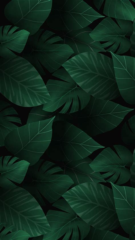1920x1080px, 1080P free download | Uniluck, clover, four leaf, green ...