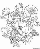 Coloring Pages Printable Flowers sketch template