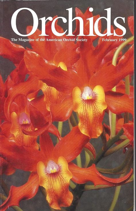 Orchids Magazine - The Bulletin of the American Orchid Society: Back to ...