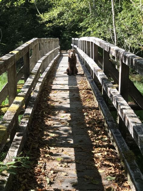 Beaver Lake Trail Leads To A Little-Known River In Washington