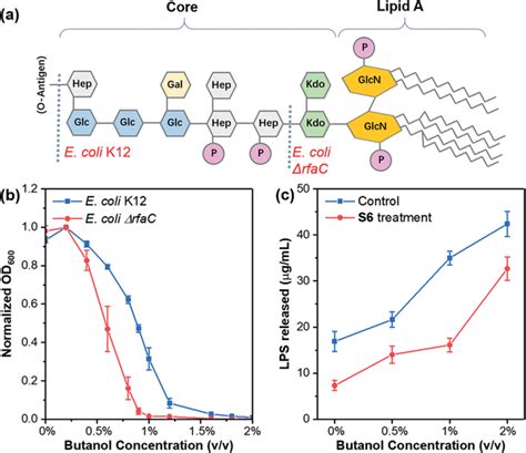 a) Schematic lipopolysaccharide structures of E. coli K12 and its LPS ...