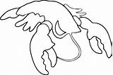 Blank Lobster Outline Coloring Pages  Cool sketch template