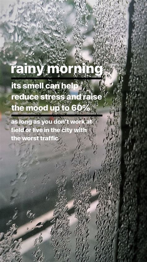 Funny Rainy Day Quotes And Sayings - ShortQuotes.cc