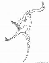 Jurassic Park Gallimimus Dinosaur Coloring Page Free Printable – Bilarasa sketch template