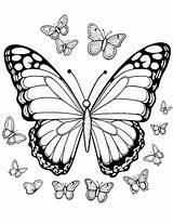 50 Butterfly Coloring Pages Free Printable Sheets  coloring sketch template