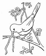 Spring Scenes Coloring Page 20  Early Bird Sheets sketch template