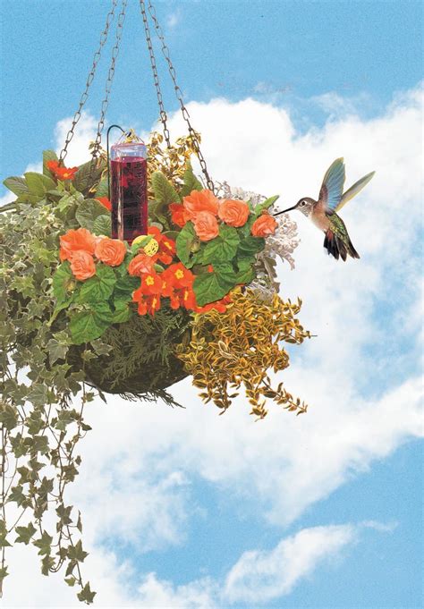 Wonderful Best Hanging Baskets For Hummingbirds 4 Planter