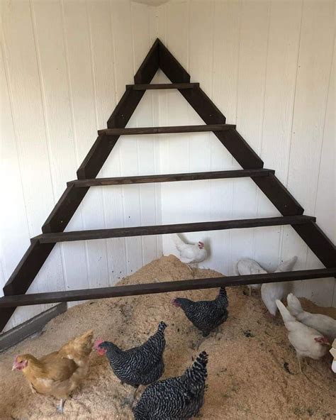 Chicken Roosts: Why It's Important to Your Hens | Chicken roost ...