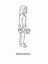 Homosapien homo erectus Habilis coloring Pages sketch template