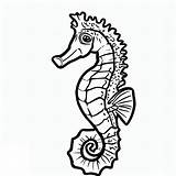 Seahorse coloring Pages  ColoringLib sketch template